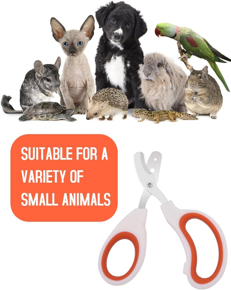 Engorgio Stainless Steel Bearded Dragon Nail Clippers,Lizard Nail Clippers,Bearded Dragon Supplies,Bearded Dragon Nail Scissors for Small Reptiles,Turtle,Chameleon,Iguana，Hedgehog（Orange） - Image 5